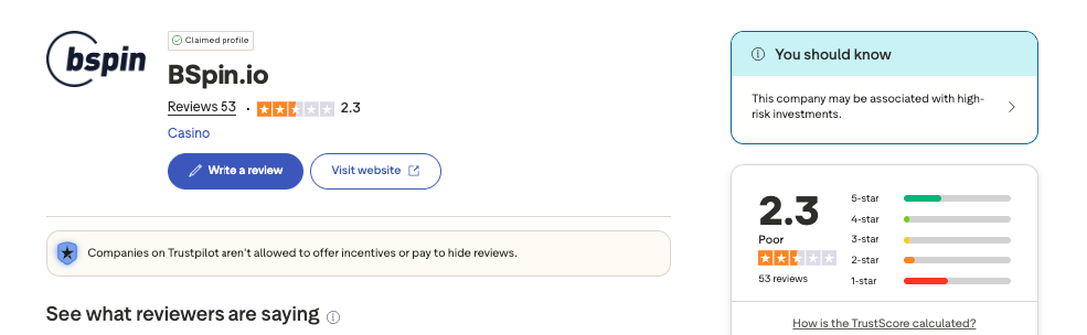 Bspin trustpilot overview screenshot interface.